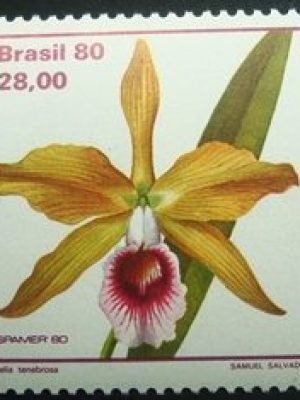 Selo postal COMEMORATIVO do Brasil de 1980 - C 1165 M