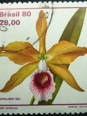 Selo postal COMEMORATIVO do Brasil de 1980 - C 1165 U