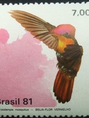 Selo postal COMEMORATIVO do Brasil de 1981 - C 1199 N