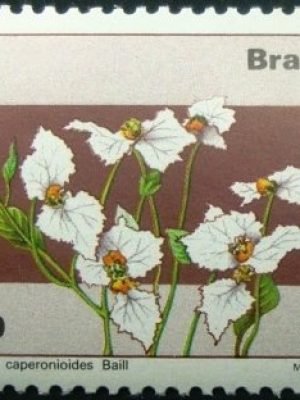 Selo postal COMEMORATIVO do Brasil de 1981 - C 1218 m