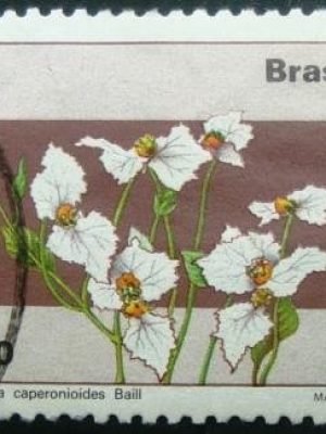 Selo postal COMEMORATIVO do Brasil de 1981 - C 1218 U