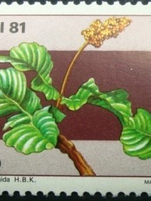 Selo postal do Brasil de 1981 Pslicourea