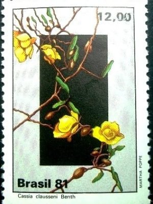 Selo postal do Brasil de 1981 Cássia