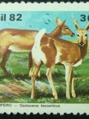 Selo postal Comemorativo do Brasil de 1982 - C 1263 M