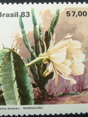 Selo postal do Brasil de 1983 Mandacaru