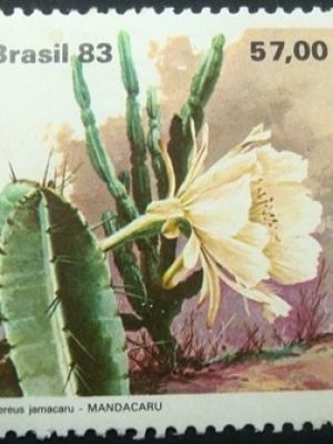Selo postal do Brasil de 1983 Mandacaru