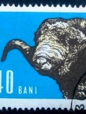 Selo postal da Romênia de 1962 Merino Ram