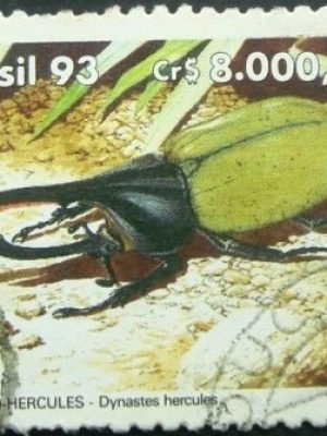 Selo postal de 1993 Besouro-Hércules - C 1840 U
