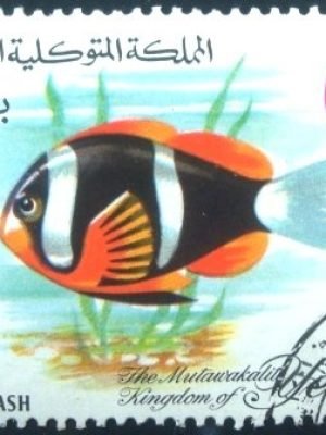 Selo postal do Reino do Iêmen de 1967 Yellowtail Anemonefish