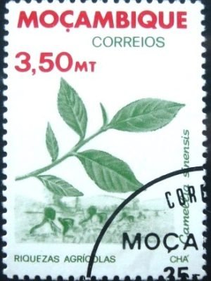Selo postal de Moçambique de 1981 Tea (Camellia sinensis)