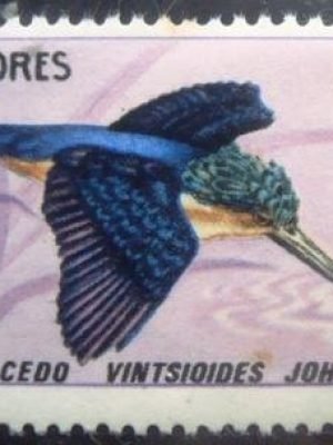 Selo postal de Comores de 1967 Madagascar Kingfisher