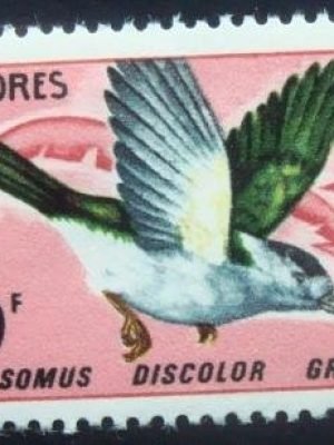 Selo postal de Comores de 1967 Comoro Cuckoo Roller