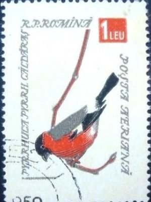 Selo postal da Romênia de 1959 Eurasian Bullfinch