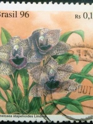 Selo postal COMEMORATIVO do Brasil de 1996 - C 2007 U