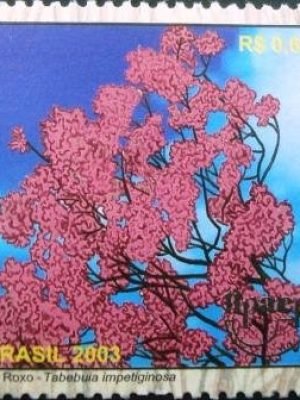 Selo postal do Brasil de 2003 Ipê Roxo M
