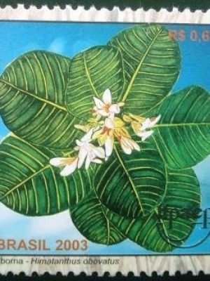 Selo postal do Brasil de 2003 Tiborna M