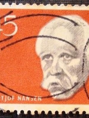 Imagem do produto ofertado - Se desejar peça mais detalhes