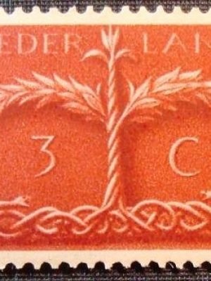 Imagem do produto ofertado - Se desejar peça mais detalhes