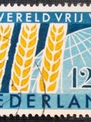 Imagem do produto ofertado - Se desejar peça mais detalhes