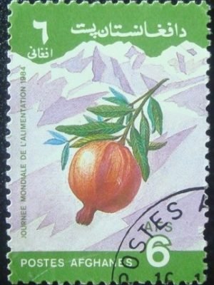 Imagem do produto ofertado - Se desejar peça mais detalhes