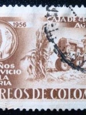 Imagem do produto ofertado - Se desejar peça mais detalhes