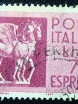 Imagem do produto ofertado - Se desejar peça mais detalhes