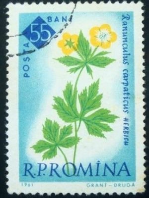 Selo postal da Romênia de 1961 Buttercup