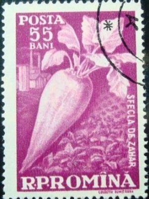 Selo postal da Romênia de 1959 Sugar beet
