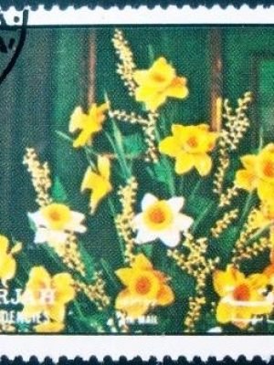 Selo postal do Sharjah de 1972 Daffodils
