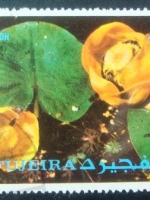 Selo postal de Fujeira de 1972 Flores 30