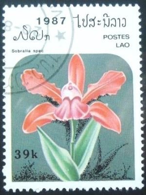 Selo postal do Laos de 1987 Paphiopedilum hybrid 44