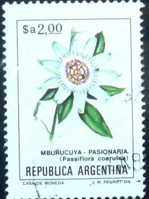 Selo postal da Argentina de 1984 Mburucuyá
