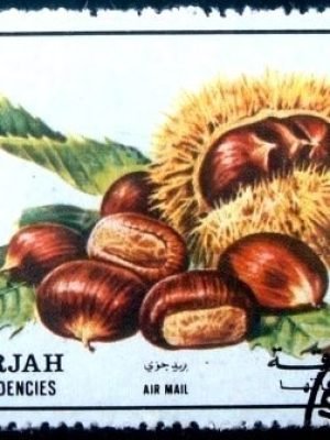 Selo postal de Sharjah de 1972 Chestnut
