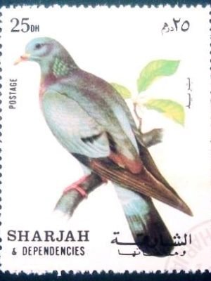 Selo postal de Sharjah 1972 Stock Dove