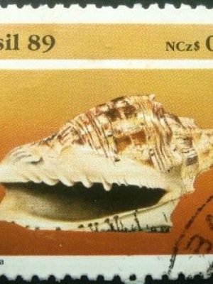 Selo postal COMEMORATIVO do Brasil de 1989 - C 1645 U