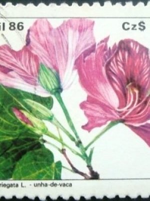 Selo postal do Brasil de 1986 Unha-de-vaca