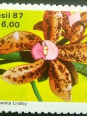 Selo postal COMEMORATIVO do Brasil de 1986 - C 1572 M