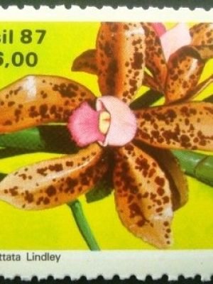 Selo postal COMEMORATIVO do Brasil de 1986 - C 1572 N