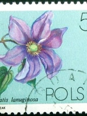 Selo postal da Polônia de 1984 Clematis lanuginosa