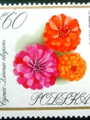 Selo postal da Polônia de 1966 Zinnias