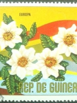 Selo postal da Guiné Equatorial de 1977 Dryas octopetala