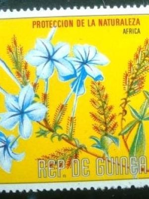 Selo postal da Guiné Equatorial de 1976 Plumbago capensis