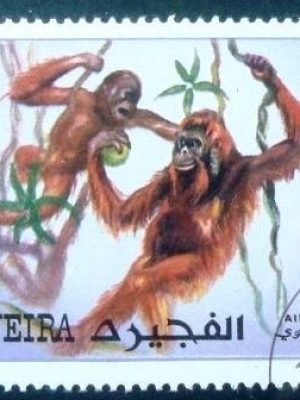 Selo postal de Fujeira de 1972 Orang-Utans