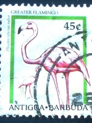 Selo postal de Antigua e Barbuda de 1995 Caribbean Flamingo