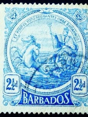 Imagem do produto ofertado - Se desejar peça mais detalhes