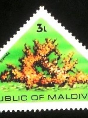 Selo postal das Maldivas de 1975 Scleractinian Coral