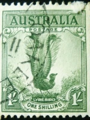 Selo postal da Austrália de 1956 Superb Lyrebird 4 U
