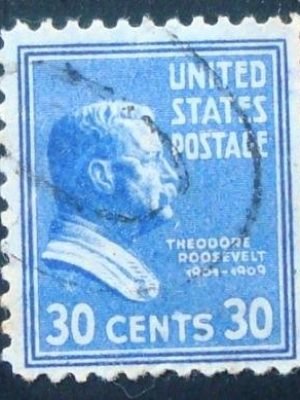 Imagem similar à do selo postal dos Estados Unidos de 1938 Theodore Roosevelt 30 U