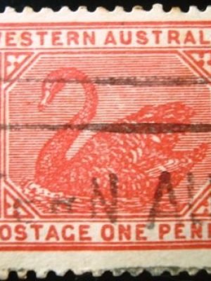 Imagem do produto ofertado - Se desejar peça mais detalhes