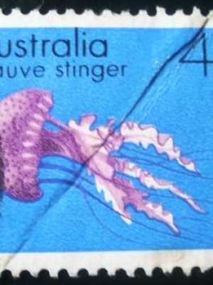 Imagem do produto ofertado - Se desejar peça mais detalhes